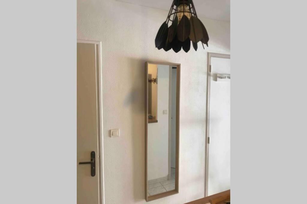Studio Meuble Climatise Toulon Mourillon Bord De Mer エクステリア 写真